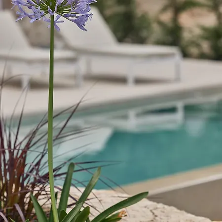 Olvion Luxury Villa *